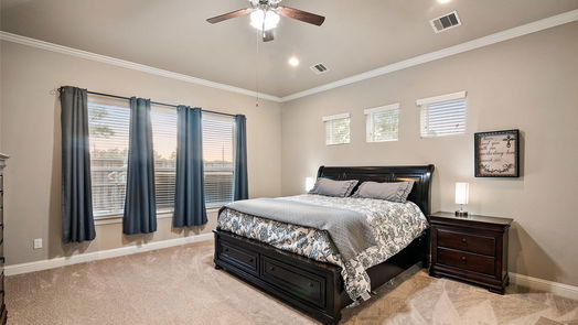 Spring 2-story, 5-bed 29535 Monona Terrace Court-idx