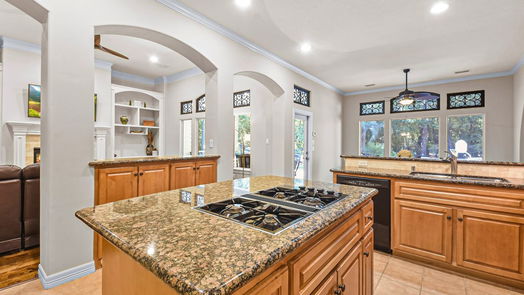 Spring 2-story, 4-bed 28603 Pinnacle Point Place-idx