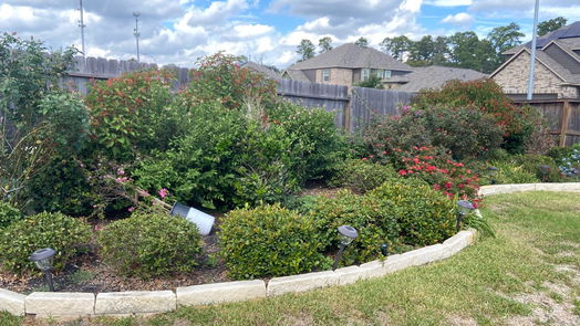 Spring 1-story, 3-bed 29219 Enchanted Falls Circle-idx
