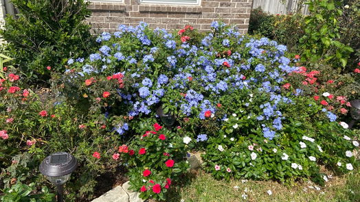 Spring 1-story, 3-bed 29219 Enchanted Falls Circle-idx