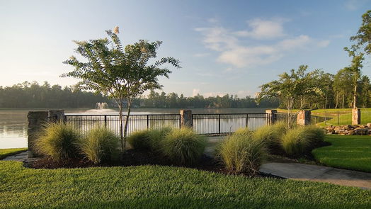 Spring null-story, null-bed 5310 Pine Wood Hills Court-idx