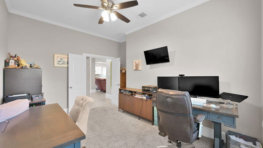 Spring 2-story, 4-bed 32009 Birch Briar Court-idx