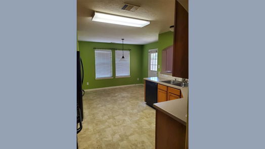 Spring 2-story, 5-bed 4519 Bridgestone Cliff Court-idx