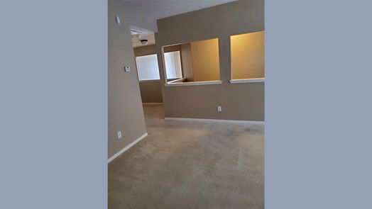 Spring 2-story, 5-bed 4519 Bridgestone Cliff Court-idx