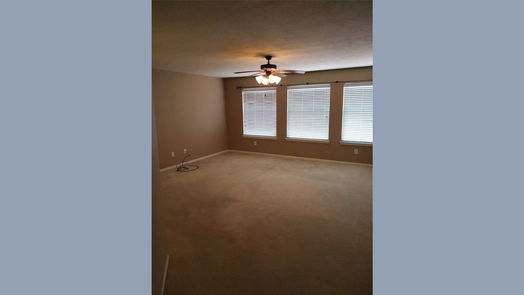 Spring 2-story, 5-bed 4519 Bridgestone Cliff Court-idx