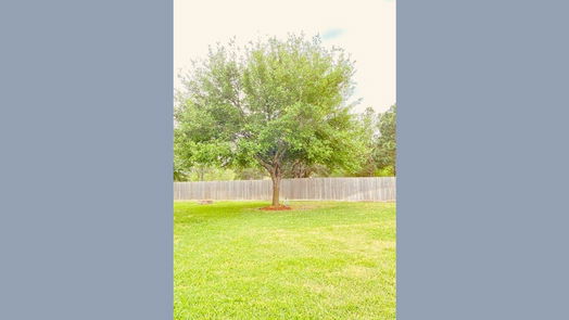 Spring 2-story, 4-bed 19603 Huckleberry Branch Court-idx