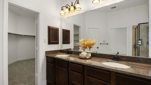 Spring null-story, 4-bed 3527 Vasser Ridge Drive-idx