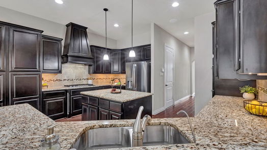 Spring null-story, 4-bed 19303 Sanctuary Robin Lane-idx
