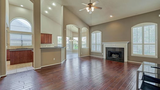 Spring 2-story, 4-bed 6506 Quiet Pointe Drive-idx