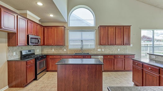 Spring 2-story, 4-bed 6506 Quiet Pointe Drive-idx