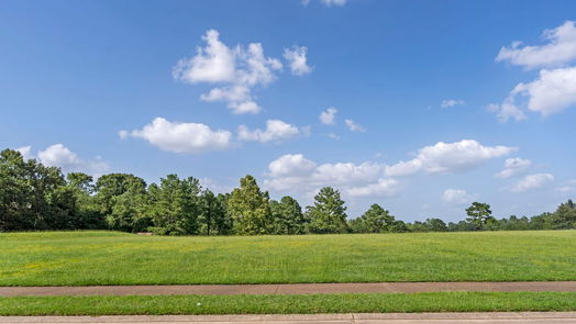 The Woodlands null-story, null-bed 63 S Fazio Way-idx