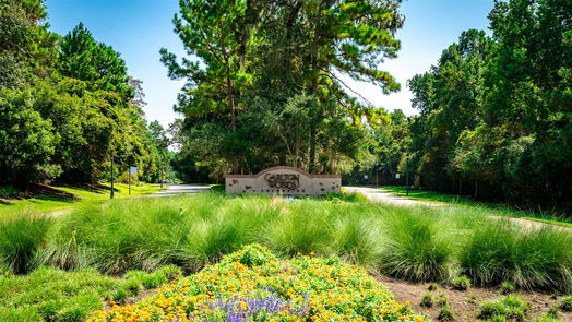 The Woodlands null-story, null-bed 63 S Fazio Way-idx