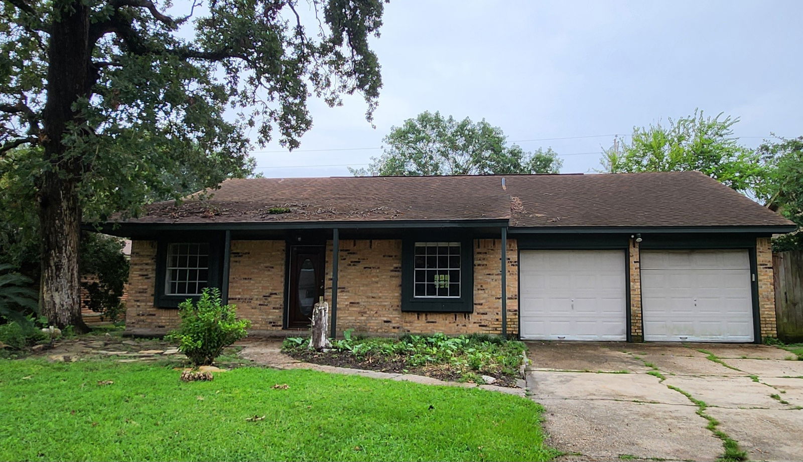 Houston 1-story, 3-bed 7522 Pinetex Drive-idx