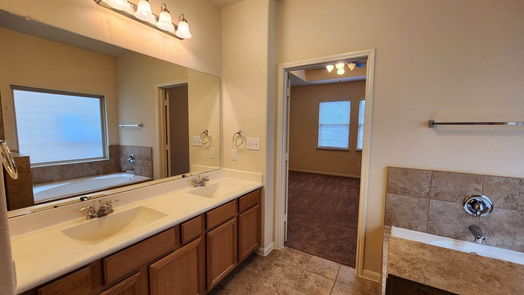 Humble 1-story, 2-bed 10638 Sun River Falls Drive-idx