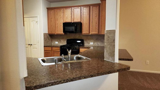 Humble 1-story, 2-bed 10638 Sun River Falls Drive-idx