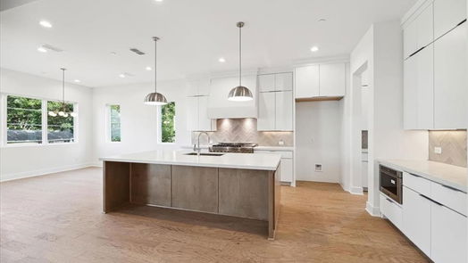Houston 2-story, 6-bed 807 Atwell Street-idx