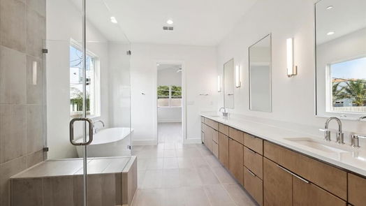 Houston 2-story, 6-bed 807 Atwell Street-idx