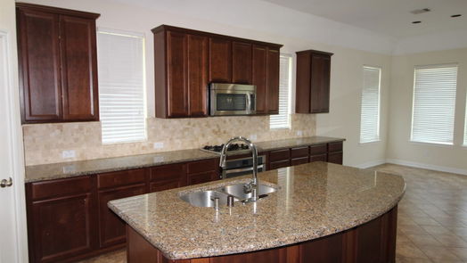 Richmond 1-story, 4-bed 23414 Farfalla Lane-idx