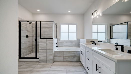 Richmond 1-story, 3-bed 16531 Oasis Glade Drive-idx