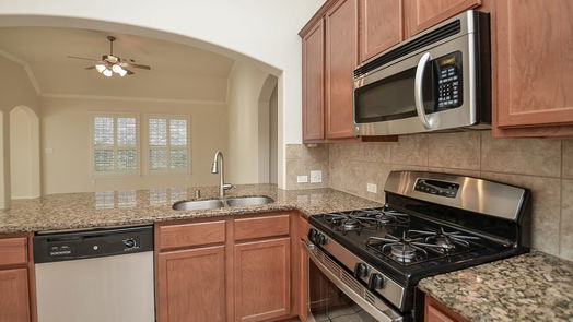 Richmond 1-story, 4-bed 20162 Emerald Mountain Drive-idx