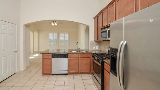 Richmond 1-story, 4-bed 20162 Emerald Mountain Drive-idx