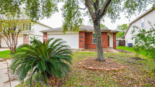 Richmond 1-story, 3-bed 18238 Sorrell Oaks Lane-idx