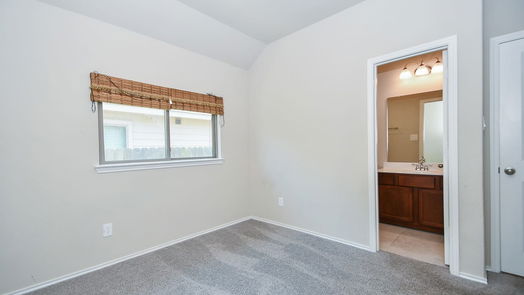 Richmond 1-story, 4-bed 8722 Trenton Landing Lane-idx