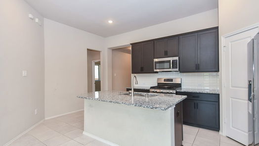 Richmond 1-story, 4-bed 8722 Trenton Landing Lane-idx