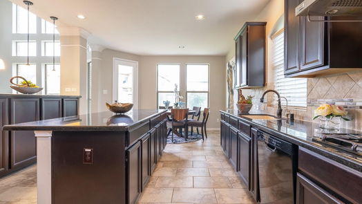 Richmond 2-story, 4-bed 20323 Bristol Bluff Lane-idx