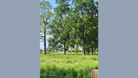 Boling null-story, 0-bed 0 SMOKE STACK LN-idx