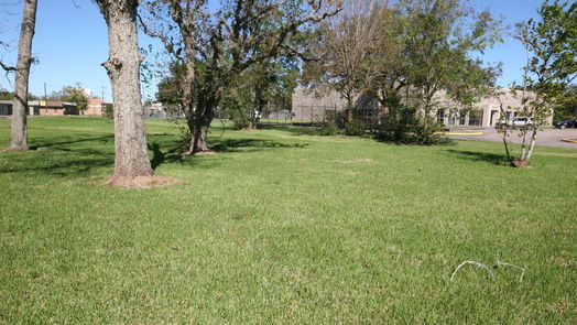 Brazoria null-story, null-bed 0 Gaines Corner-idx