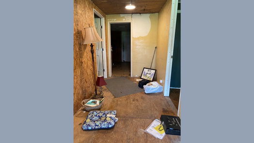 Brazoria 1-story, 4-bed 229 E Washington Street-idx