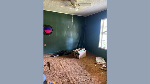 Brazoria 1-story, 4-bed 229 E Washington Street-idx
