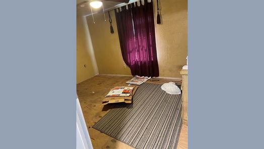 Brazoria 1-story, 4-bed 229 E Washington Street-idx