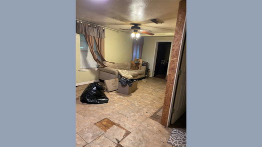 Brazoria 1-story, 4-bed 229 E Washington Street-idx