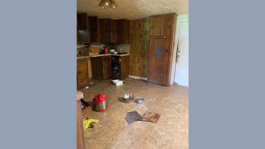 Brazoria 1-story, 4-bed 229 E Washington Street-idx