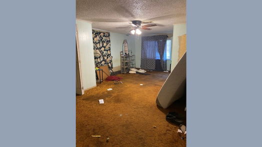 Brazoria 1-story, 4-bed 229 E Washington Street-idx