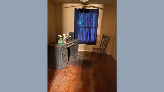 Brazoria 1-story, 4-bed 229 E Washington Street-idx
