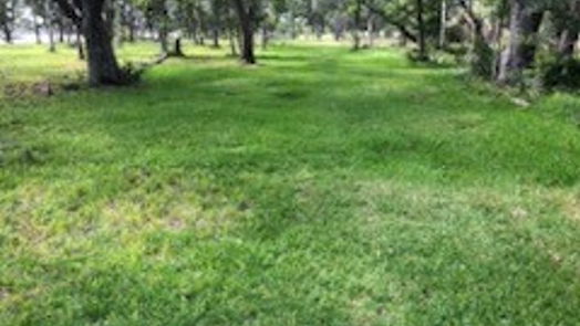 Brazoria null-story, null-bed 0 County Road 306-idx