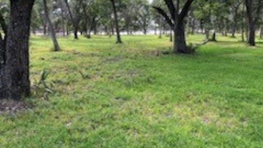 Brazoria null-story, null-bed 0 County Road 306-idx