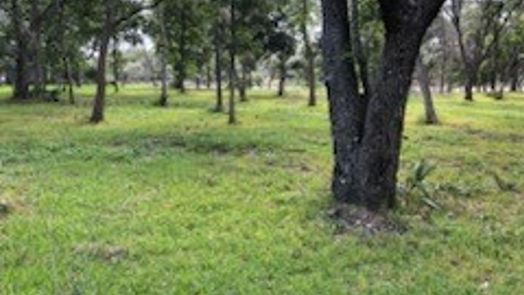 Brazoria null-story, null-bed 0 County Road 306-idx