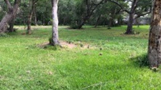 Brazoria null-story, null-bed 0 County Road 306-idx