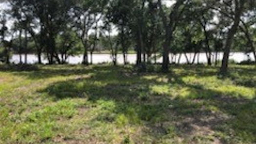 Brazoria null-story, null-bed 0 County Road 306-idx