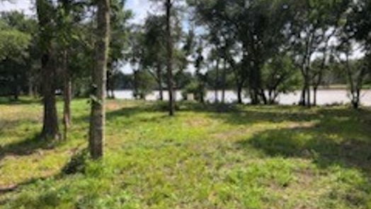 Brazoria null-story, null-bed 0 County Road 306-idx