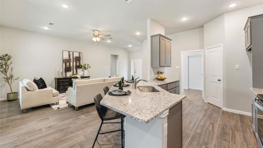Brazoria null-story, 3-bed 229 Pecan Drive-idx