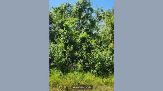 Brazoria null-story, null-bed 0 Cr-244-idx