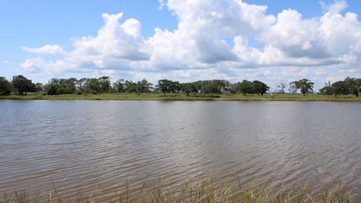 Brazoria 2-story, 4-bed 5608 SW County Road 469 Road SW-idx