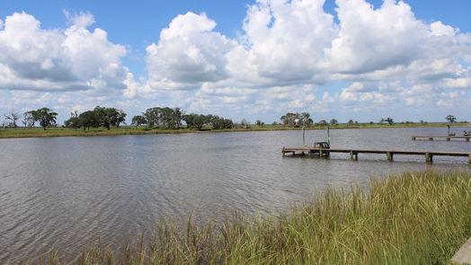 Brazoria 2-story, 4-bed 5608 SW County Road 469 Road SW-idx