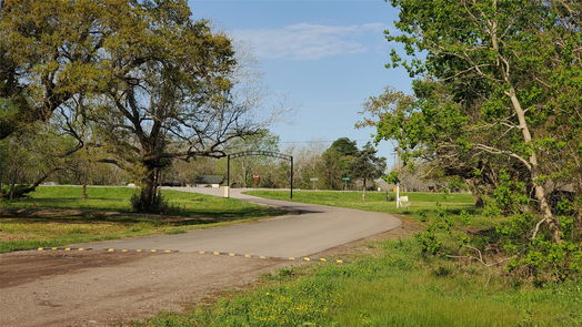 Brazoria null-story, null-bed 149 Country Oaks Street-idx