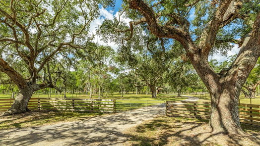 Brazoria null-story, 3-bed 543 County Road 508-idx
